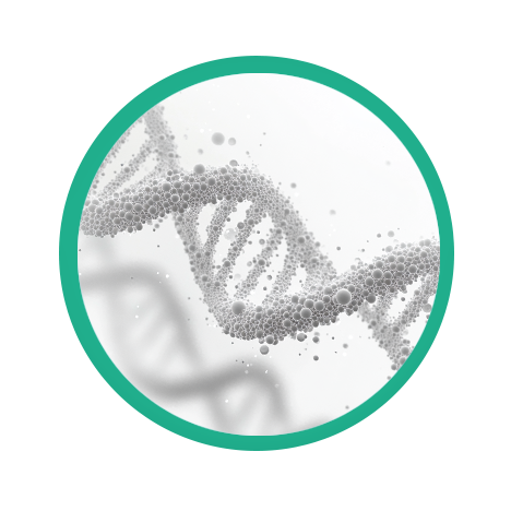 咨詢(xún)熱線(xiàn)